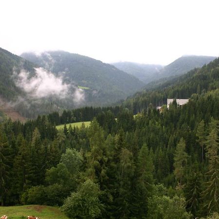 Fewo Nr. 15 Haus Konradgut Sankt Lorenzen ob Murau Εξωτερικό φωτογραφία